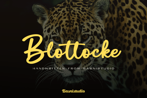 Blottocke: A Bold Script Font for Branding Projects